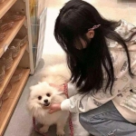 百度星海指挥官手游下载